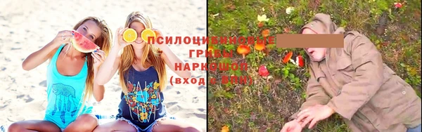 а пвп мука Бугульма