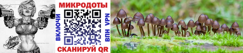 Галлюциногенные грибы Psilocybine cubensis  что такое наркотик  Мыски 