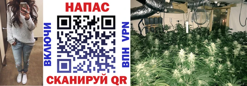 Каннабис SATIVA & INDICA  наркота  Мыски 
